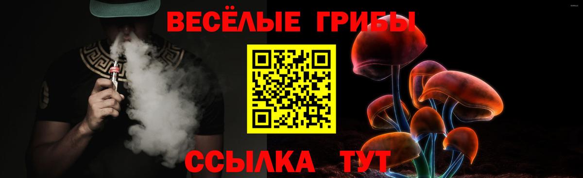 Псилоцибиновые грибы GOLDEN TEACHER  Псилоцибиновые грибы ЛСД  Вход с VPN  Нерюнгри 